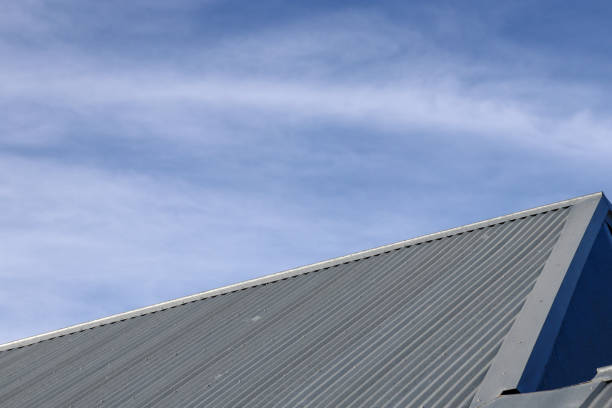 roofing solutions whangarei